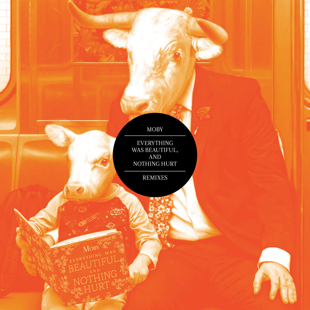 Everything Was Beautiful, and Nothing Hurt: The Remixes