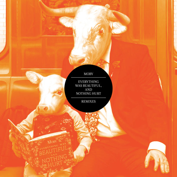 Everything Was Beautiful, and Nothing Hurt: The Remixes