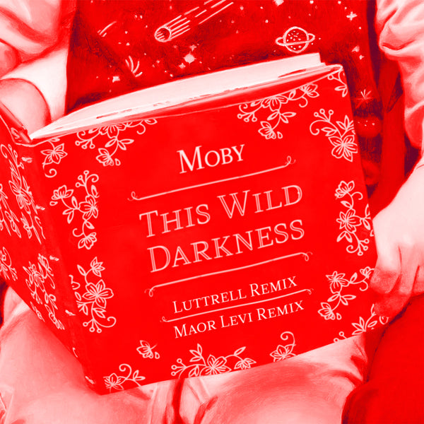 THIS WILD DARKNESS (LUTTRELL + MAOR LEVI REMIXES)