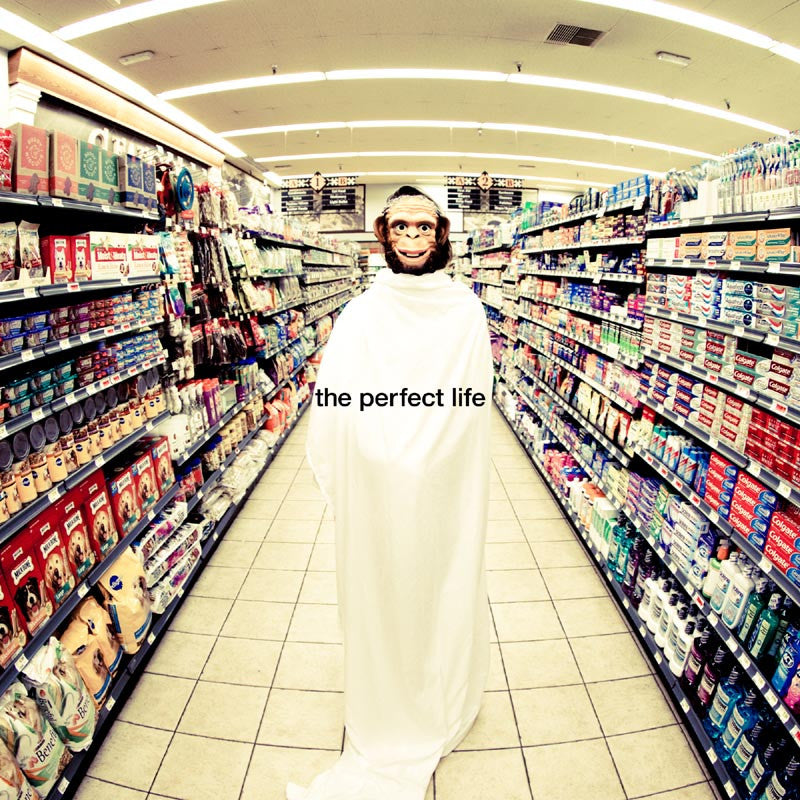 The Perfect Life (with Wayne Coyne) (MANTU Remix)