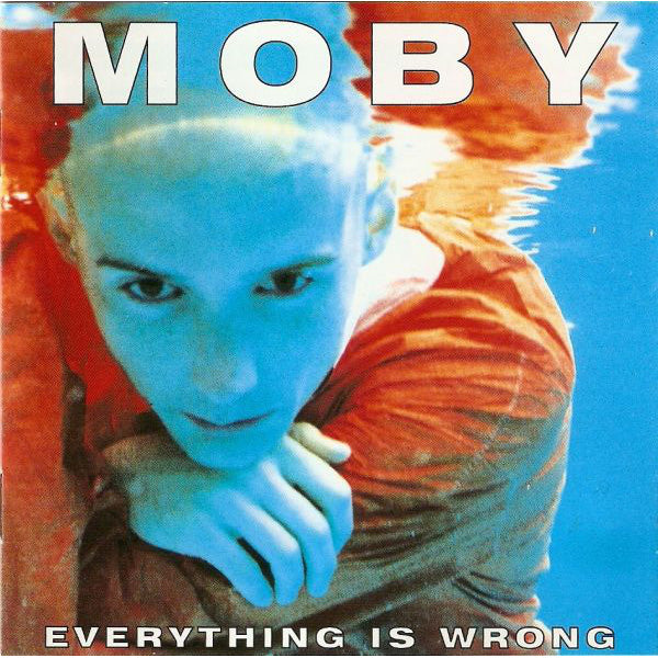 Everything Is Wrong - LP