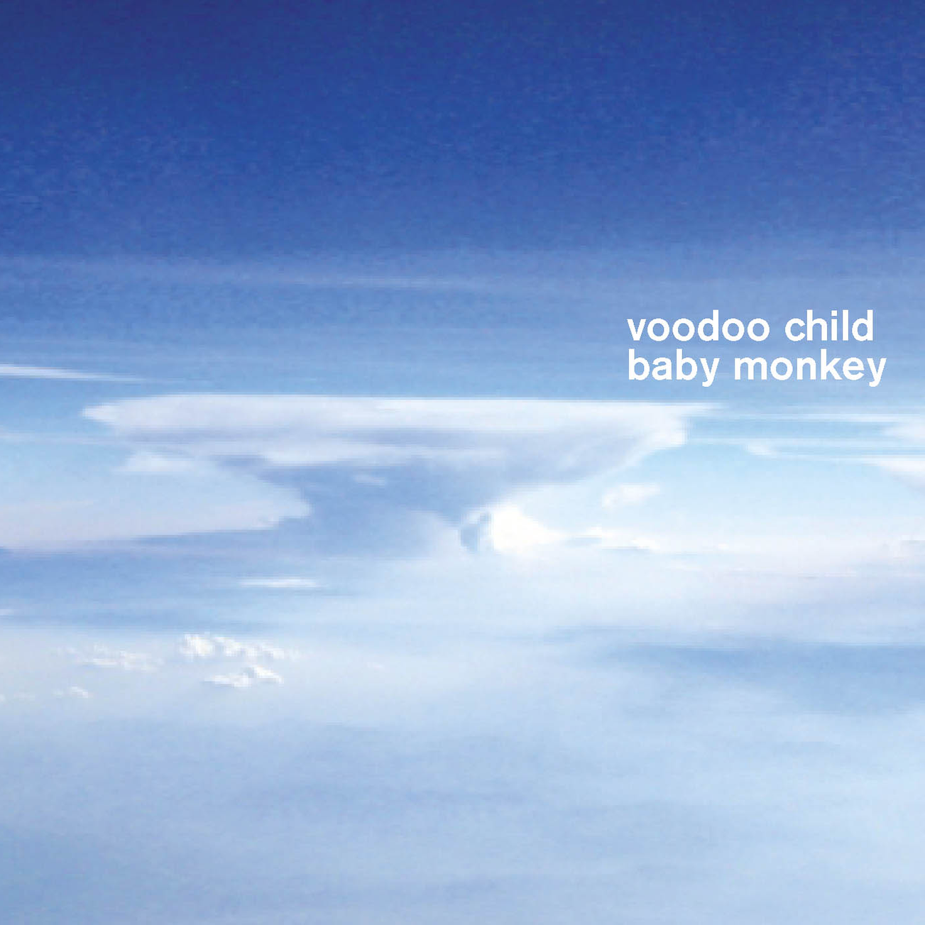 Voodoo Child - Baby Monkey - CD