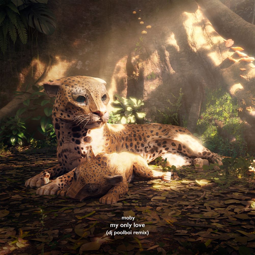 My Only Love (Dj Poolboi Remix)