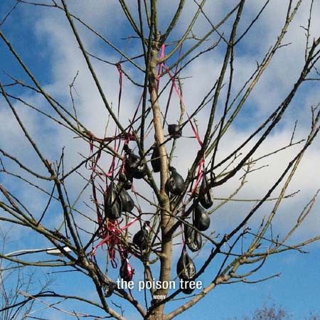 The Poison Tree MP3